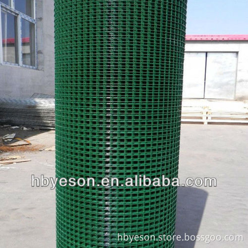 PVC Coating square Wire Mesh/green pvc coating wire mesh/wire mesh in roll